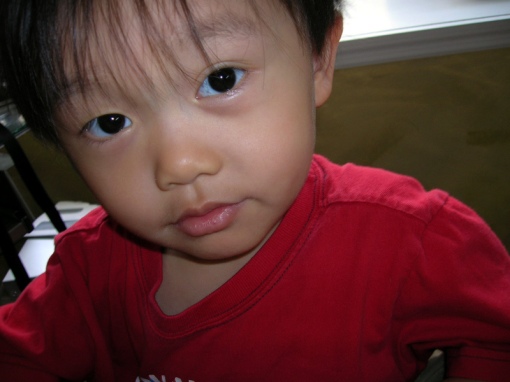Ethan Andrew Chan